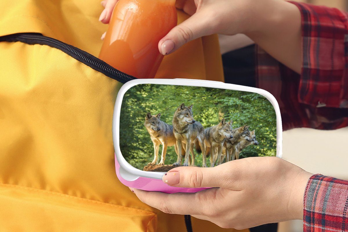 (2-tlg), Kunststoff Kinder, Wald, Snackbox, - Erwachsene, Brotdose für - Kunststoff, Lunchbox rosa Braun MuchoWow Wolf Brotbox Mädchen,
