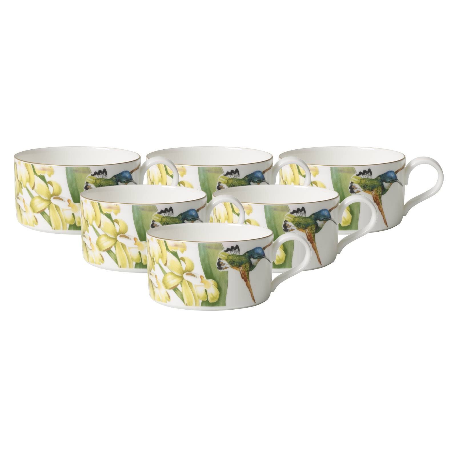 Villeroy & Boch Tasse Amazonia Teetassen 230 ml 6er Set, 6-tlg., Porzellan