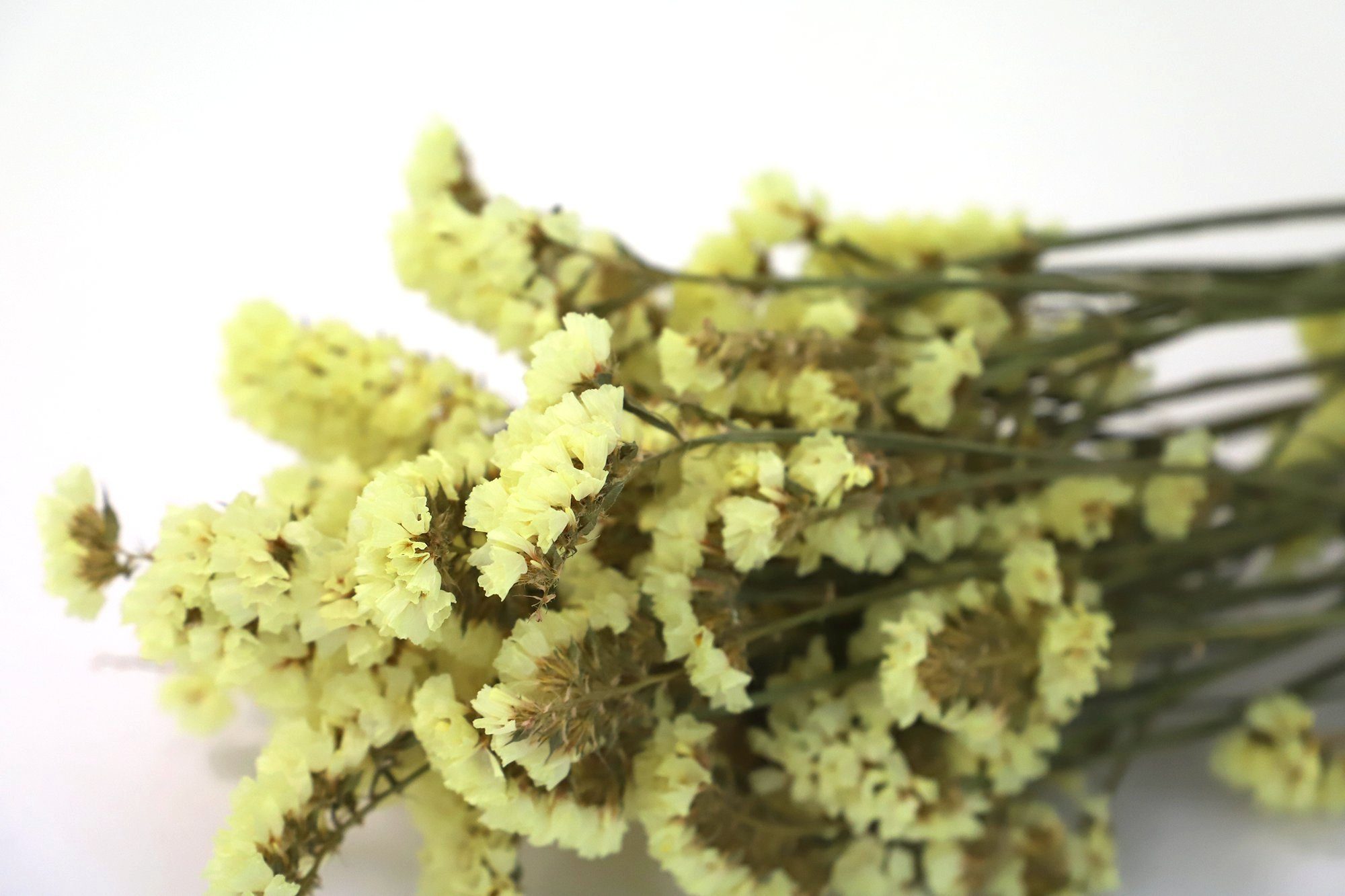 Trockenblume Großer Blumenstrauß mit Statice Lila, Gelb Kunstharz.Art in Gelb, Blau, Rosa, 