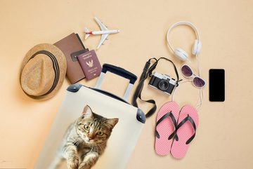 MuchoWow Handgepäckkoffer Katze - Braun - Springen, 4 Rollen, Reisetasche mit rollen, Handgepäck für Ferien, Trolley, Reisekoffer