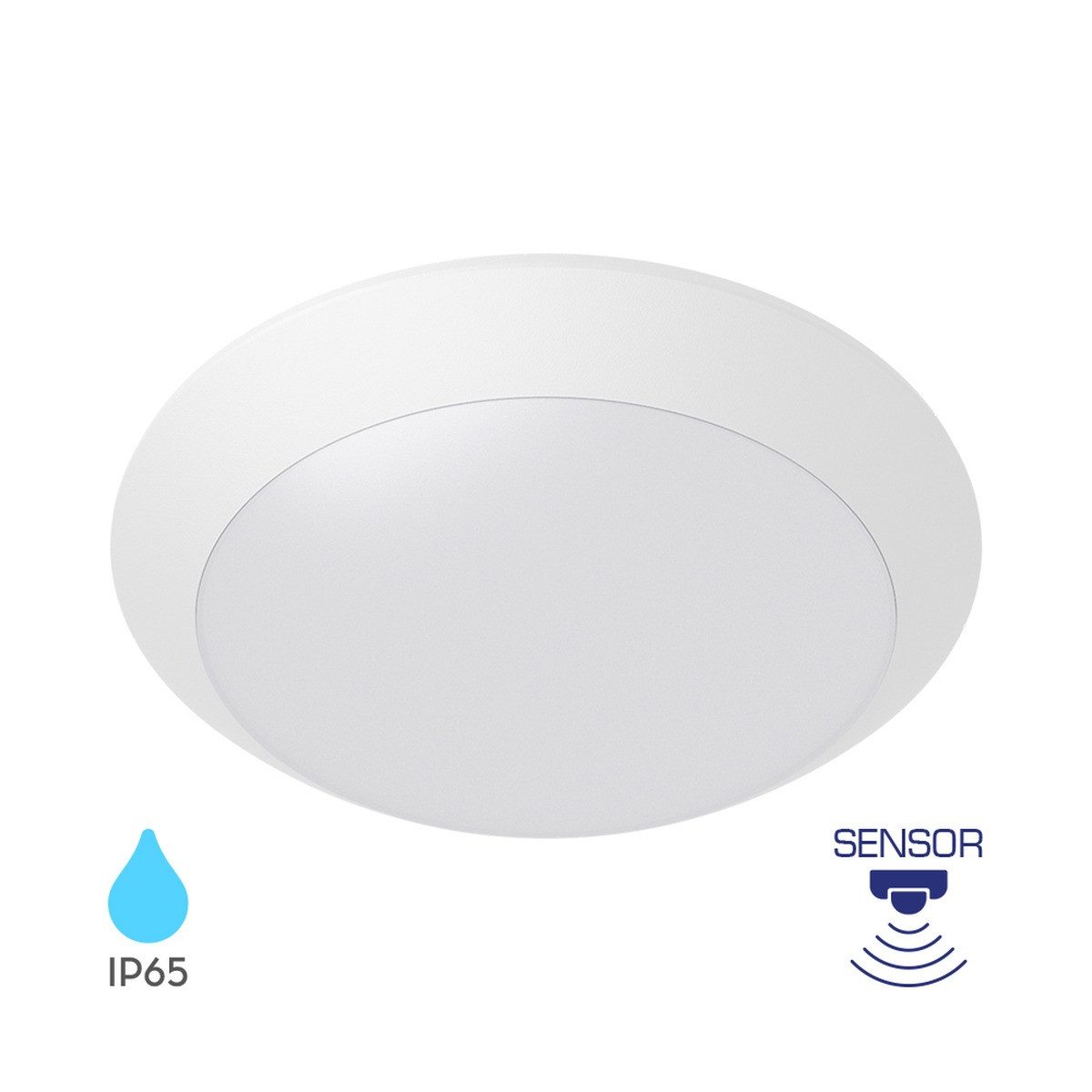 Braytron LED Deckenleuchte Außen Deckenlicht IP65 Ø265mm – E27 Fassung Bewegungsmelder, ohne Leuchtmittel, IP65 wasserdicht, Für den Außenbereich geeignet