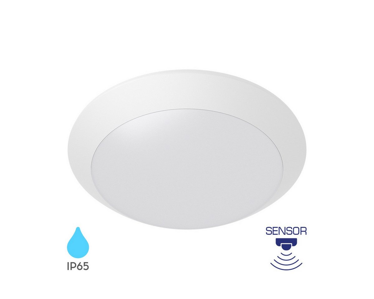 Braytron LED Deckenleuchte Außen Deckenlicht IP65 Ø265mm – E27 Fassung Bewegungsmelder, ohne Leuchtmittel, IP65 wasserdicht, Für den Außenbereich geeignet