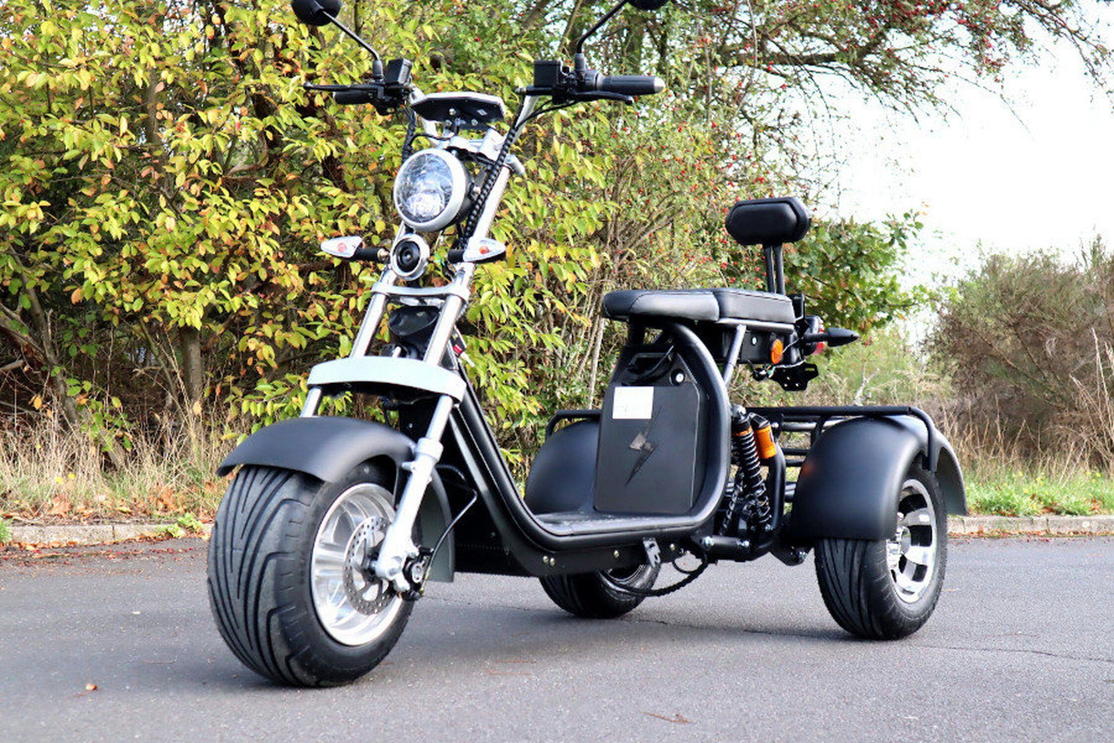 TPFLiving E-Scooter Farbe: Trike - -Akku: schwarz - ab Scheibenbremsen Jahren km/h, elektro Roller Bike Elektroroller 35 14 x mit Coco Fat Volt/12Ah, 1 60