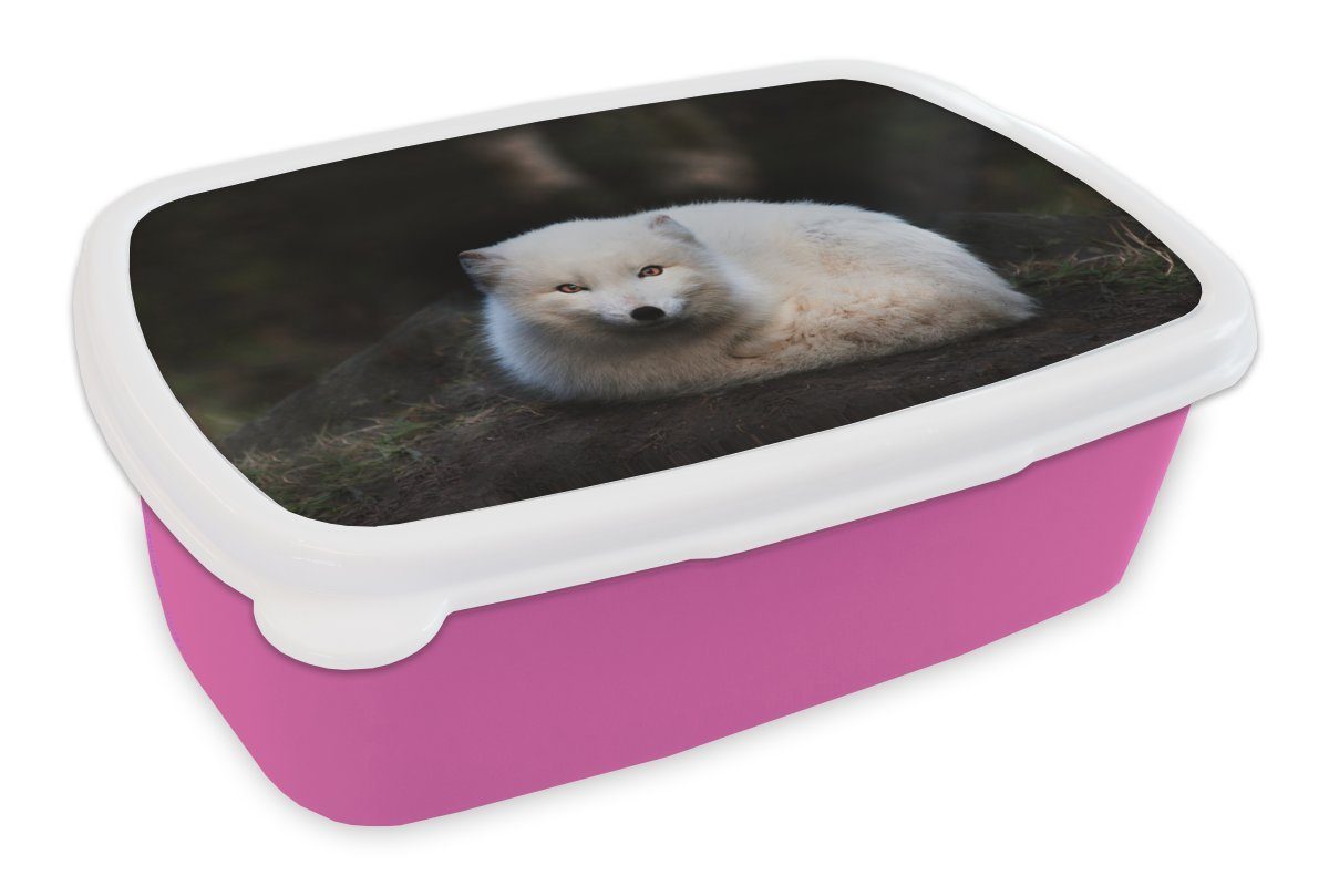 MuchoWow Lunchbox Fuchs - Porträt - Weiß, Kunststoff, (2-tlg), Brotbox für Erwachsene, Brotdose Kinder, Snackbox, Mädchen, Kunststoff rosa