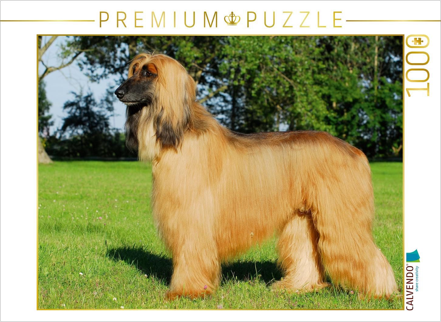 CALVENDO Puzzle CALVENDO Puzzle Afghanischer Windhund in voller Pracht, 1000 Teile Le, 1000 Puzzleteile