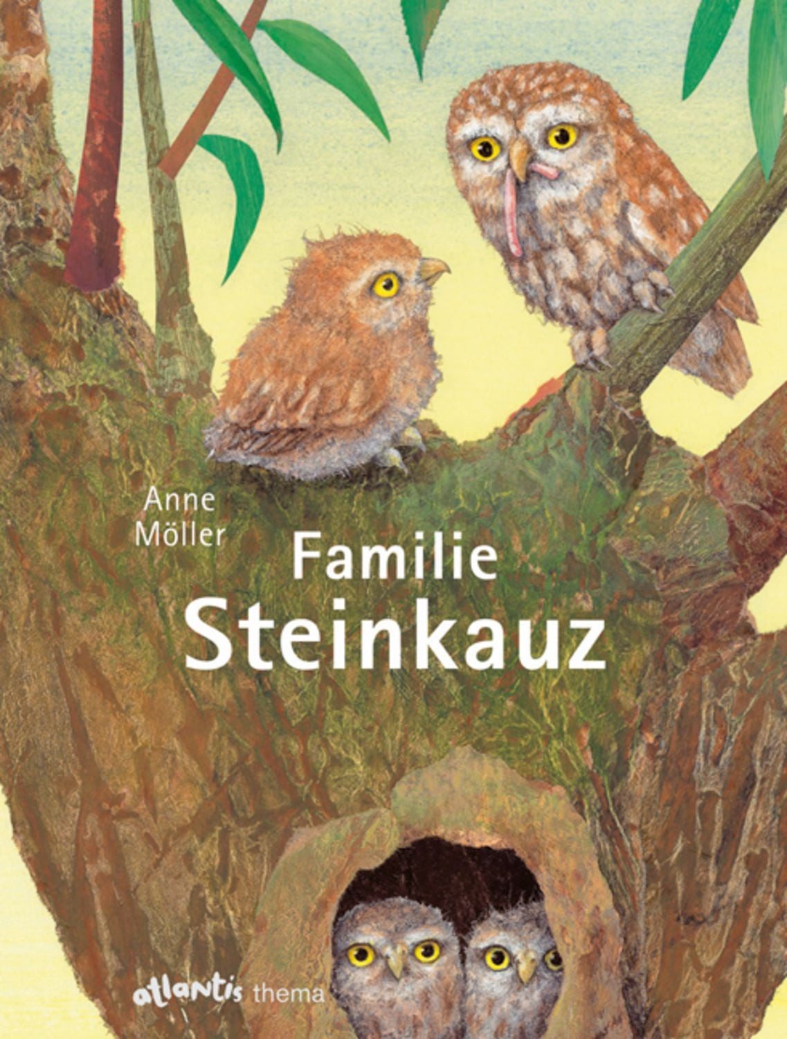 Familie Steinkauz / Anne Möller