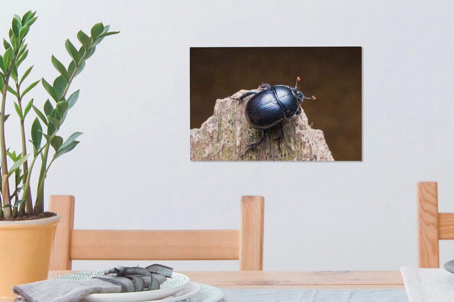 OneMillionCanvasses® Leinwandbild Wanddeko, Aufhängefertig, auf einem cm Stück (1 Käfer Holz, Wandbild St), 30x20 Leinwandbilder