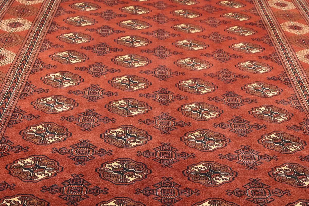 Orientteppich Turkaman 245x367 rechteckig, Handgeknüpfter mm 6 Höhe: Perserteppich, / Orientteppich Trading, Nain
