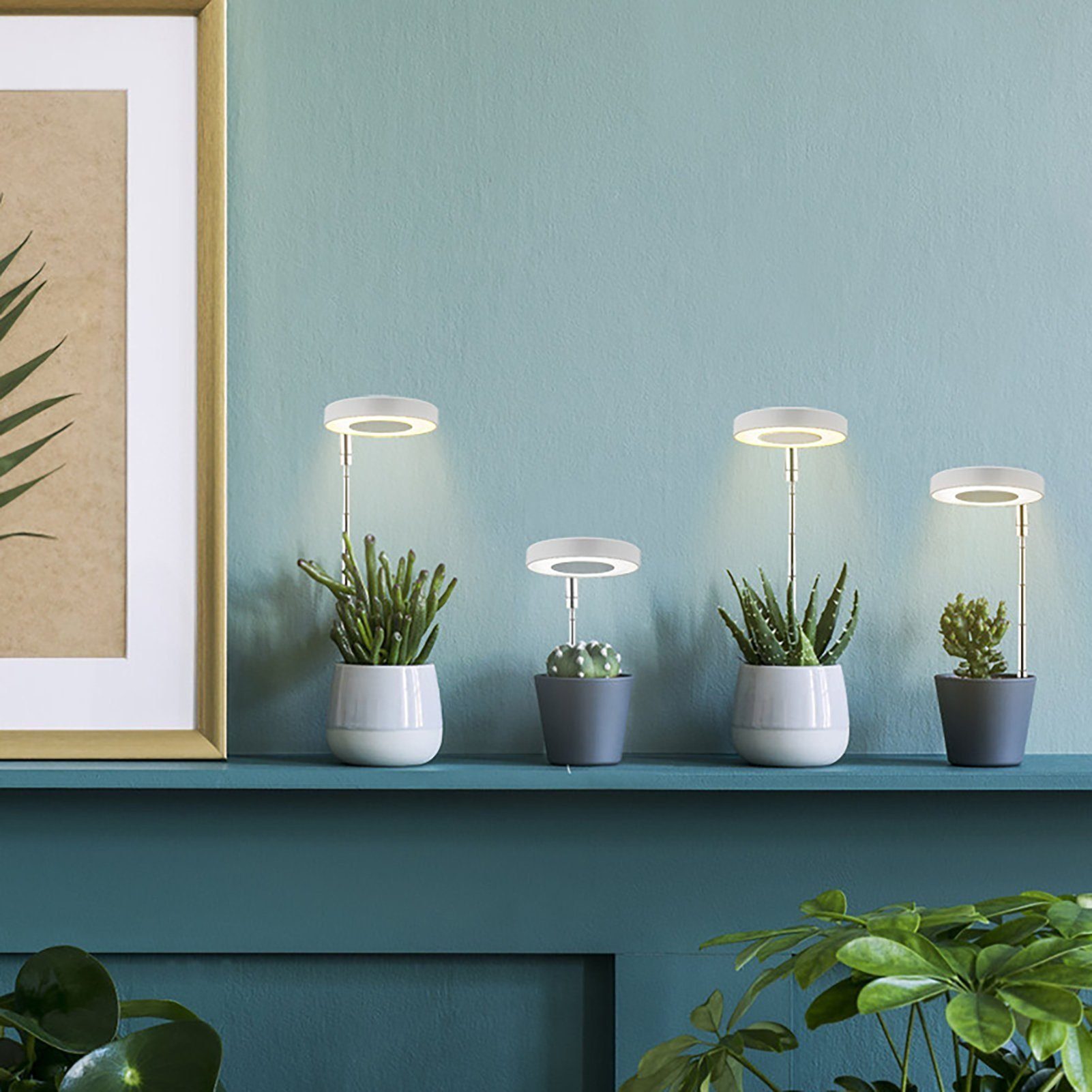 wechselbar LED Pflanzen, LED Vollspektrum, für kleine Pflanzenlampe Pflanzenlampe Gontence Höhenverstellbar, Pflanzenlampe