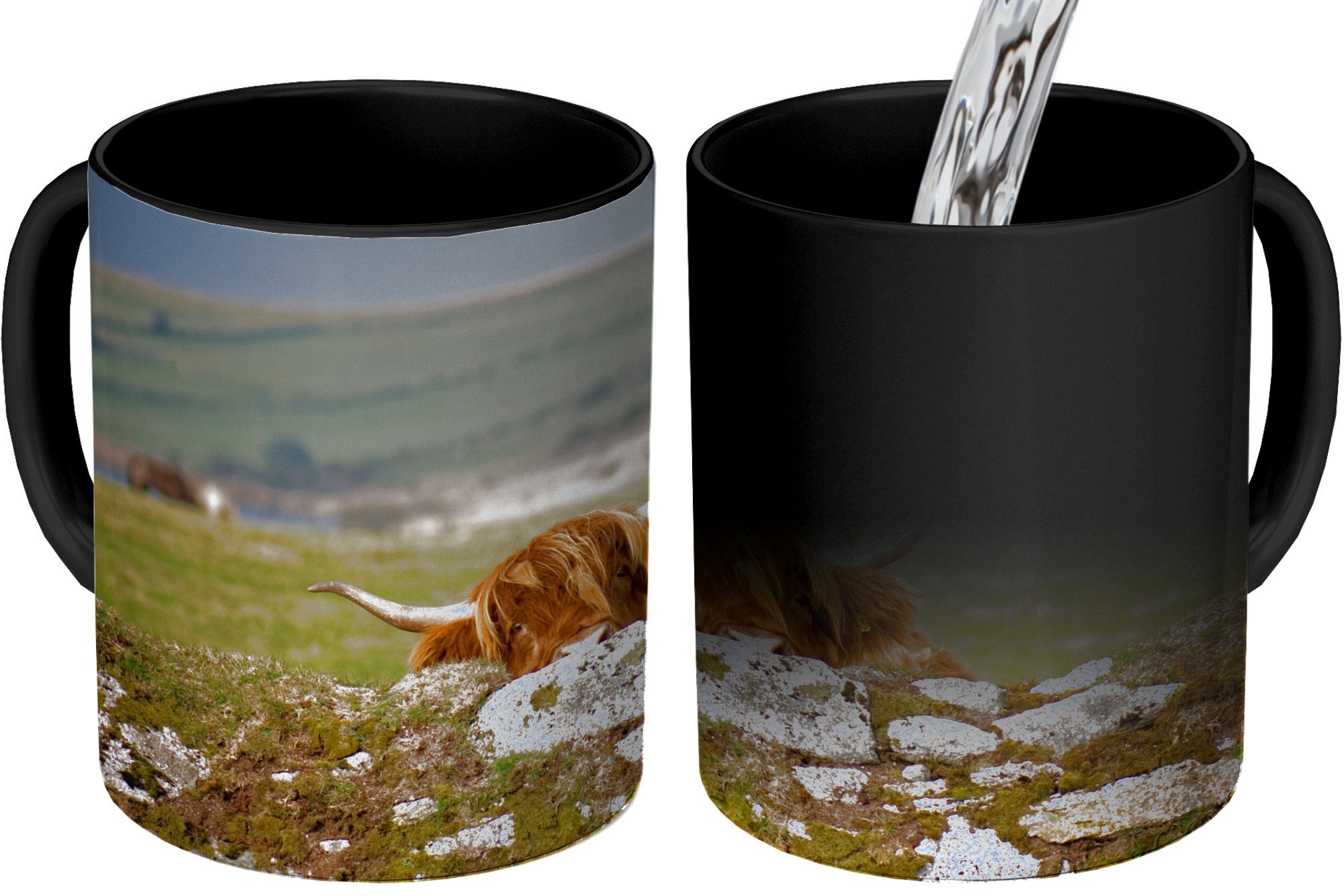 MuchoWow Tasse Schottische Highlander Steine - Farbwechsel, Keramik, Gras, Zaubertasse, Geschenk - Kaffeetassen, Teetasse