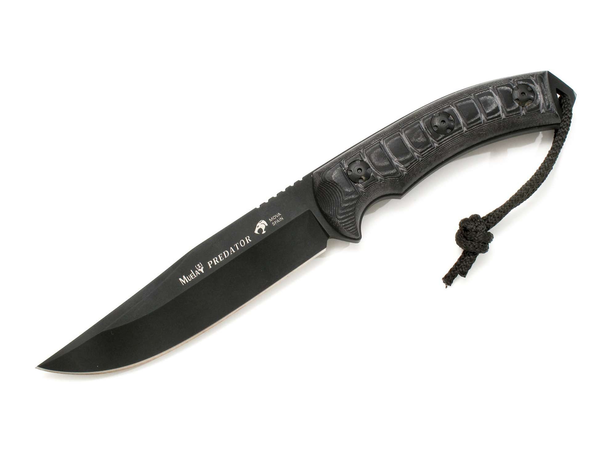 Muela Taschenmesser Feststehendes Messer Predator-14N