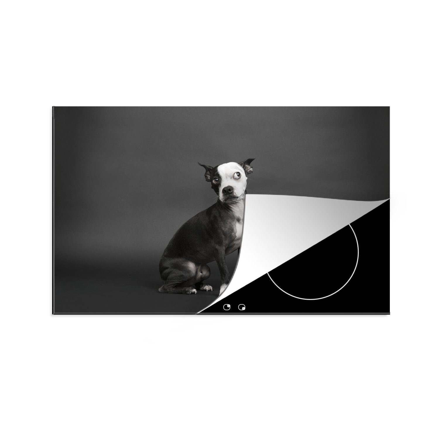 MuchoWow Herdblende-/Abdeckplatte Hund - Spot - Porträt, Vinyl, (1 tlg), 81x52 cm, Induktionskochfeld Schutz für die küche, Ceranfeldabdeckung