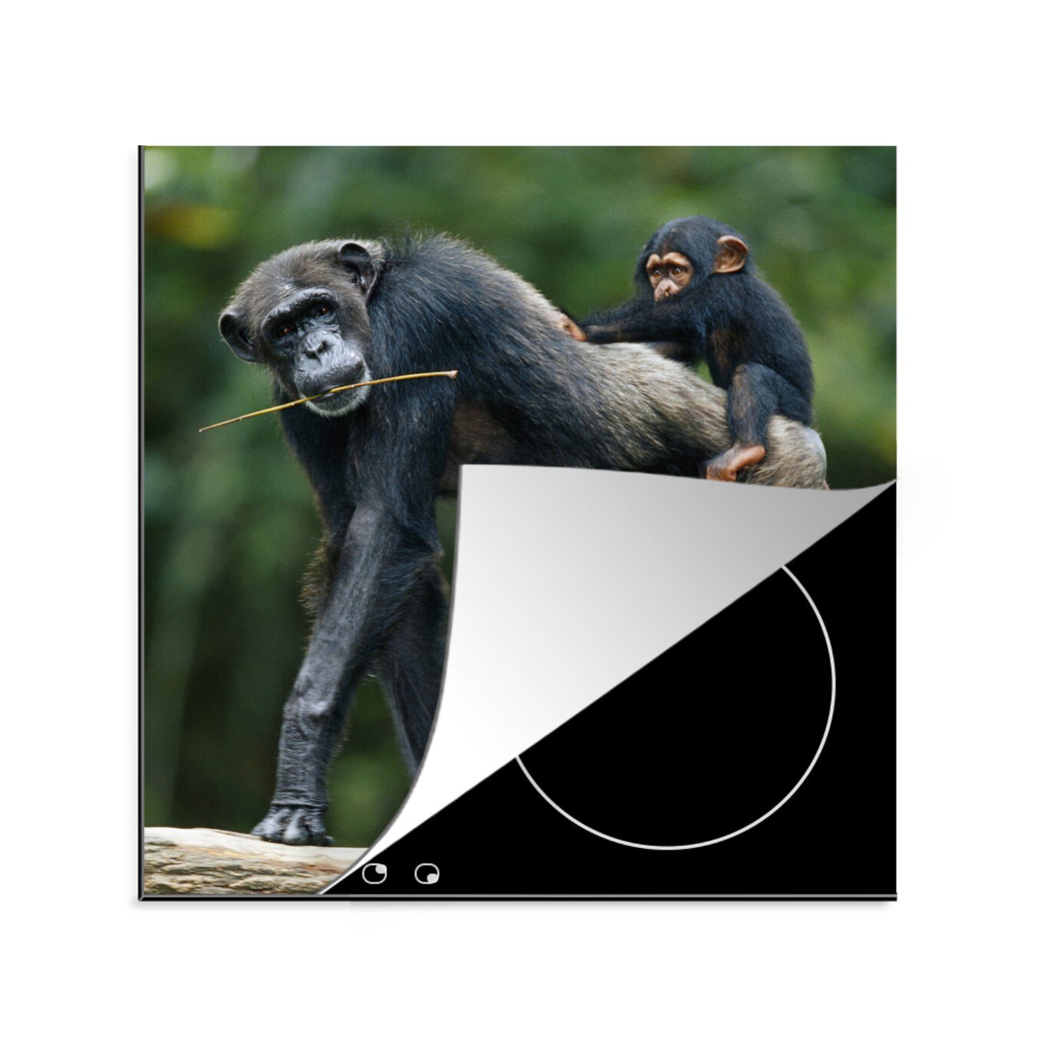 MuchoWow Herdblende-/Abdeckplatte Schimpanse - Rücken - Kind, Vinyl, (1 tlg), 78x78 cm, Ceranfeldabdeckung, Arbeitsplatte für küche