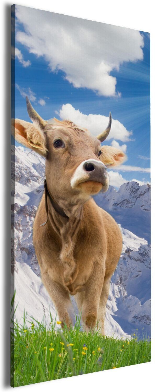 Wallario Leinwandbild, Kuh im Sonnenschein in den Alpen, in verschiedenen Ausführungen