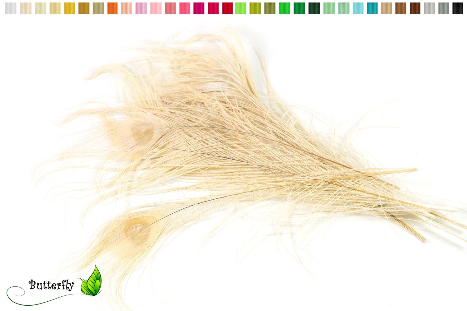 Creativery Bastelfedern, 10 echte Pfauenfedern ca. 25-30cm