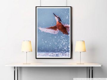 Sinus Art Poster Tierfotografie  Eisvogel bei der Jagd 60x90cm Poster