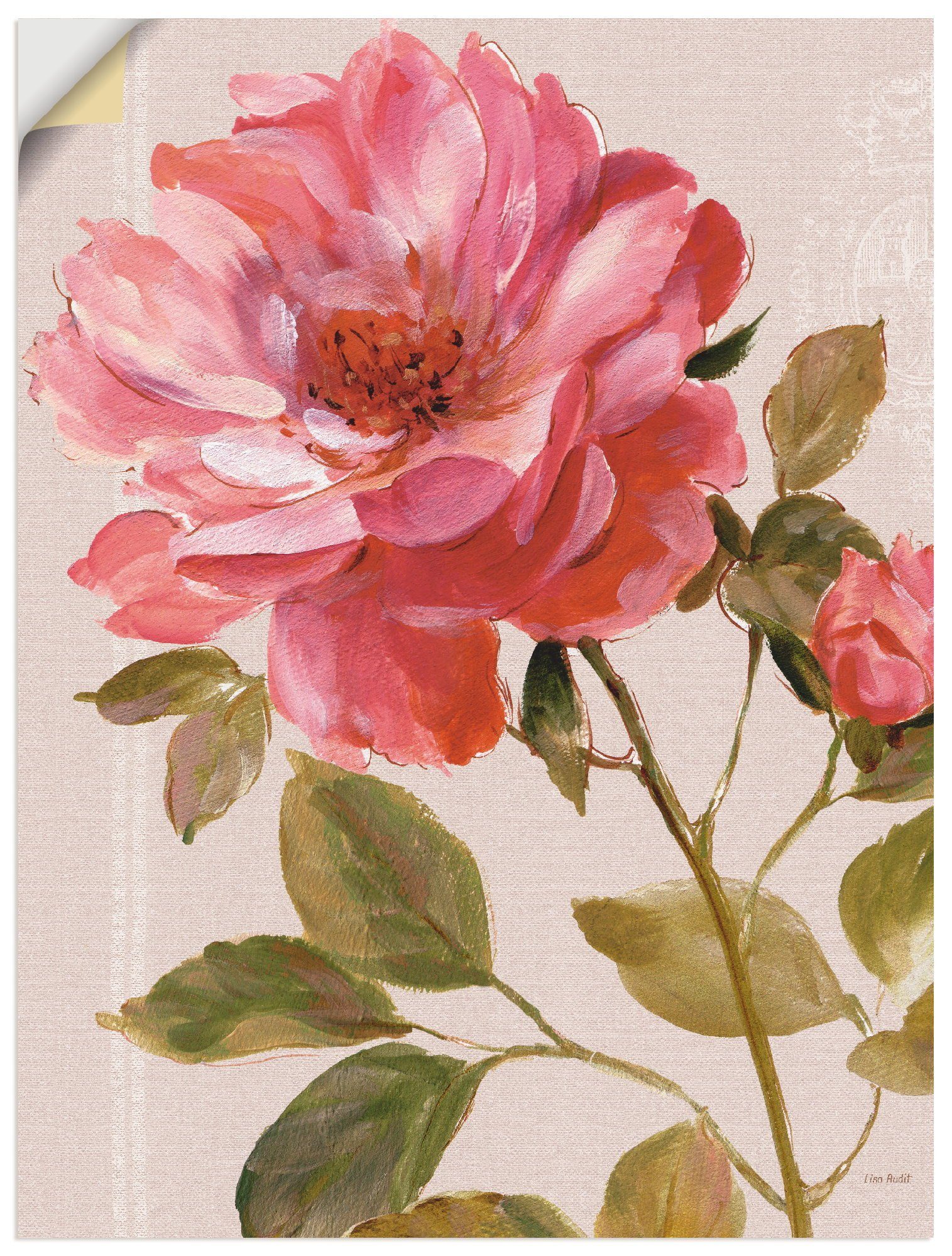 als Poster in Artland Leinwandbild, Blumen Rosen, (1 versch. oder Wandaufkleber St), Größen Harmonische Wandbild