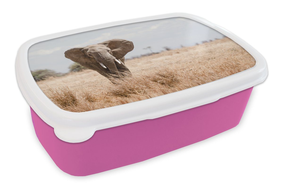 MuchoWow Lunchbox Elefant - Natur - Tiere - Porträt, Kunststoff, (2-tlg), Brotbox für Erwachsene, Brotdose Kinder, Snackbox, Mädchen, Kunststoff rosa