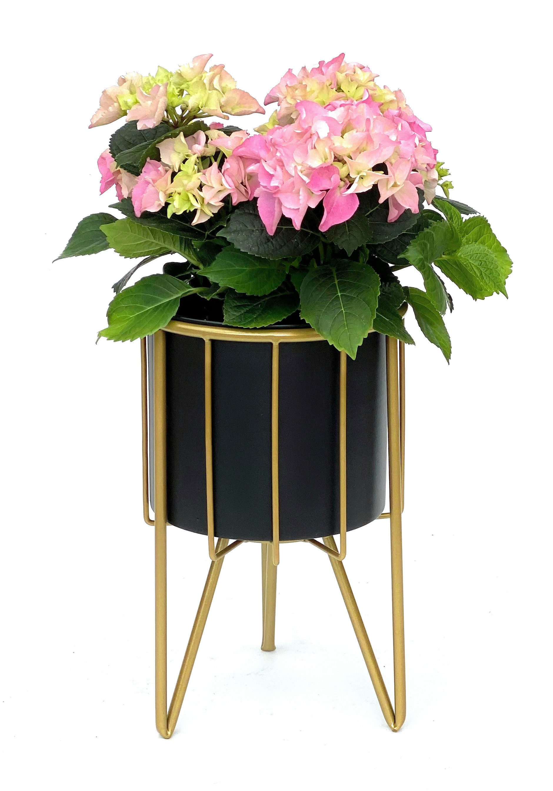 DanDiBo Blumenhocker mit Topf Metall Gold Schwarz Rund 32-45 cm Blumenständer, 96039 Blumensäule Modern Pflanzenständer Pflanzenhocker – Bild 3 von 5