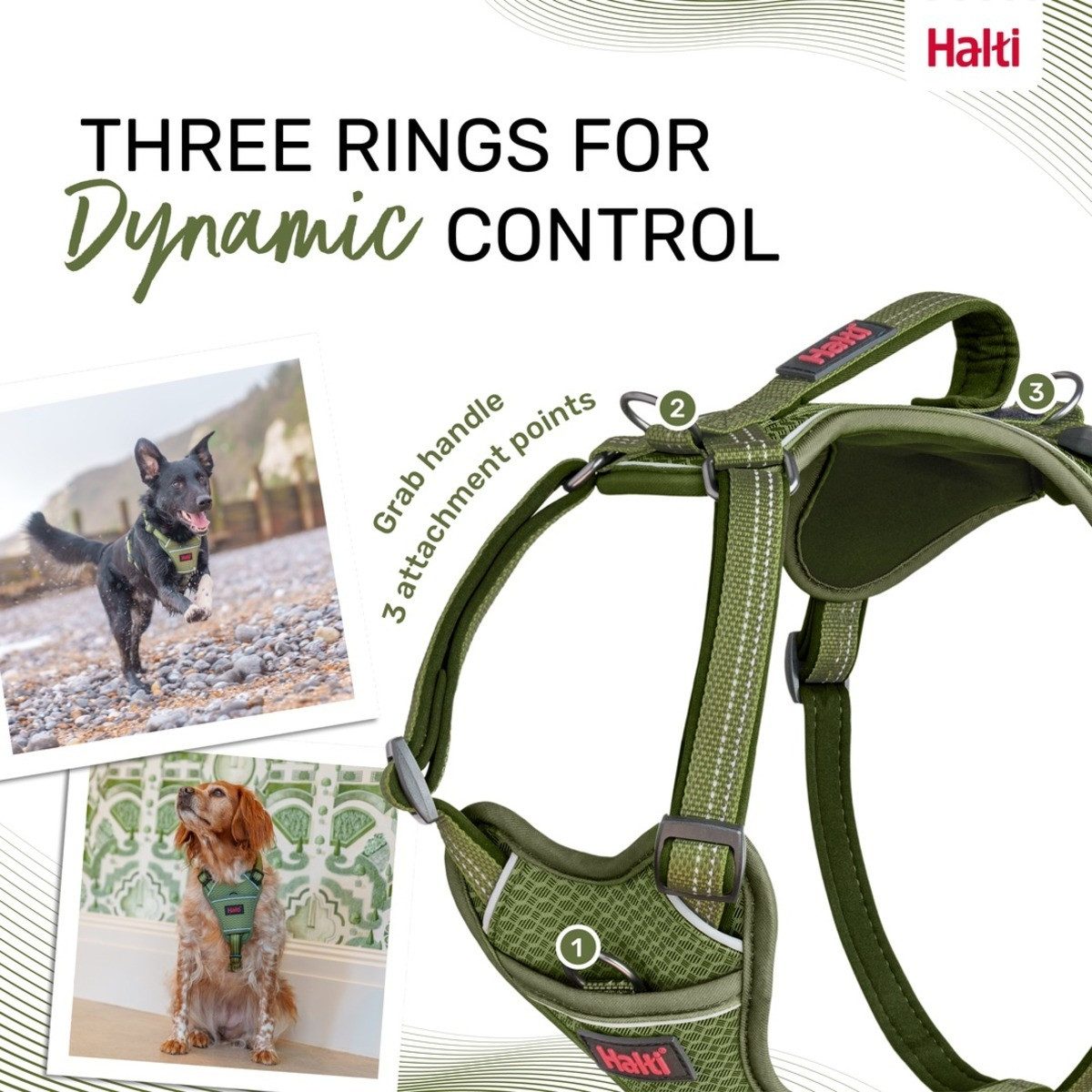 Company of Animals Hunde-Geschirr Hundegeschirr Anatomy Harness Green