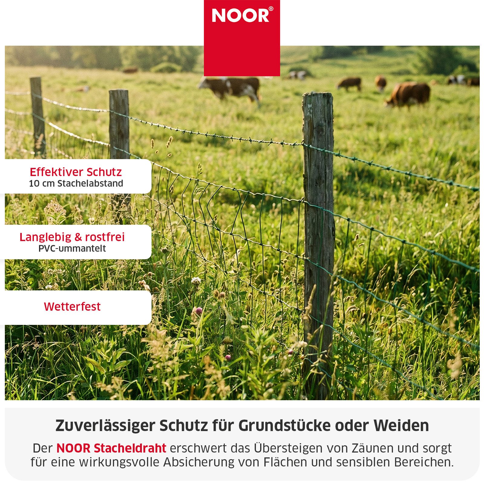 NOOR Stacheldraht Rolle 50 m 2-fach verdrillt - Sperr- und Sicherheitsdraht, Robuster Sicherheitsdraht - ideal für Weidenzaun & Grundstücksschutz
