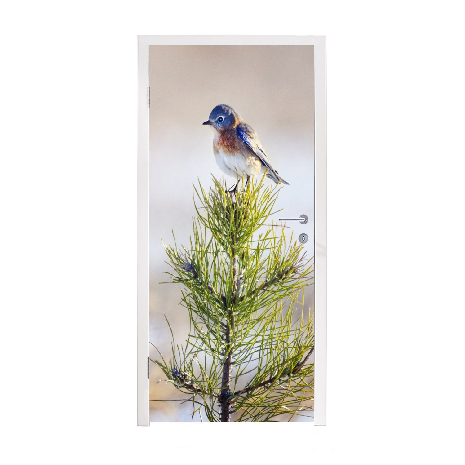 MuchoWow Türtapete Vogel auf einem Ast eines Baumes, Matt, bedruckt, (1 St), Fototapete für Tür, Türaufkleber, 75x205 cm
