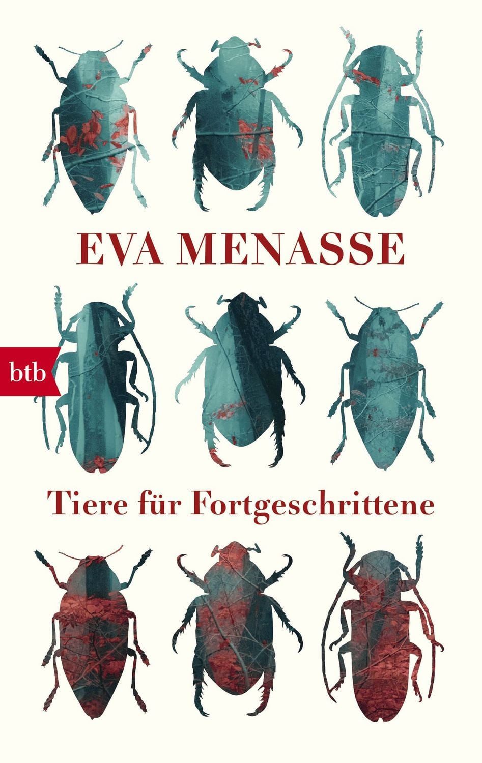 Tiere für Fortgeschrittene / Eva Menasse