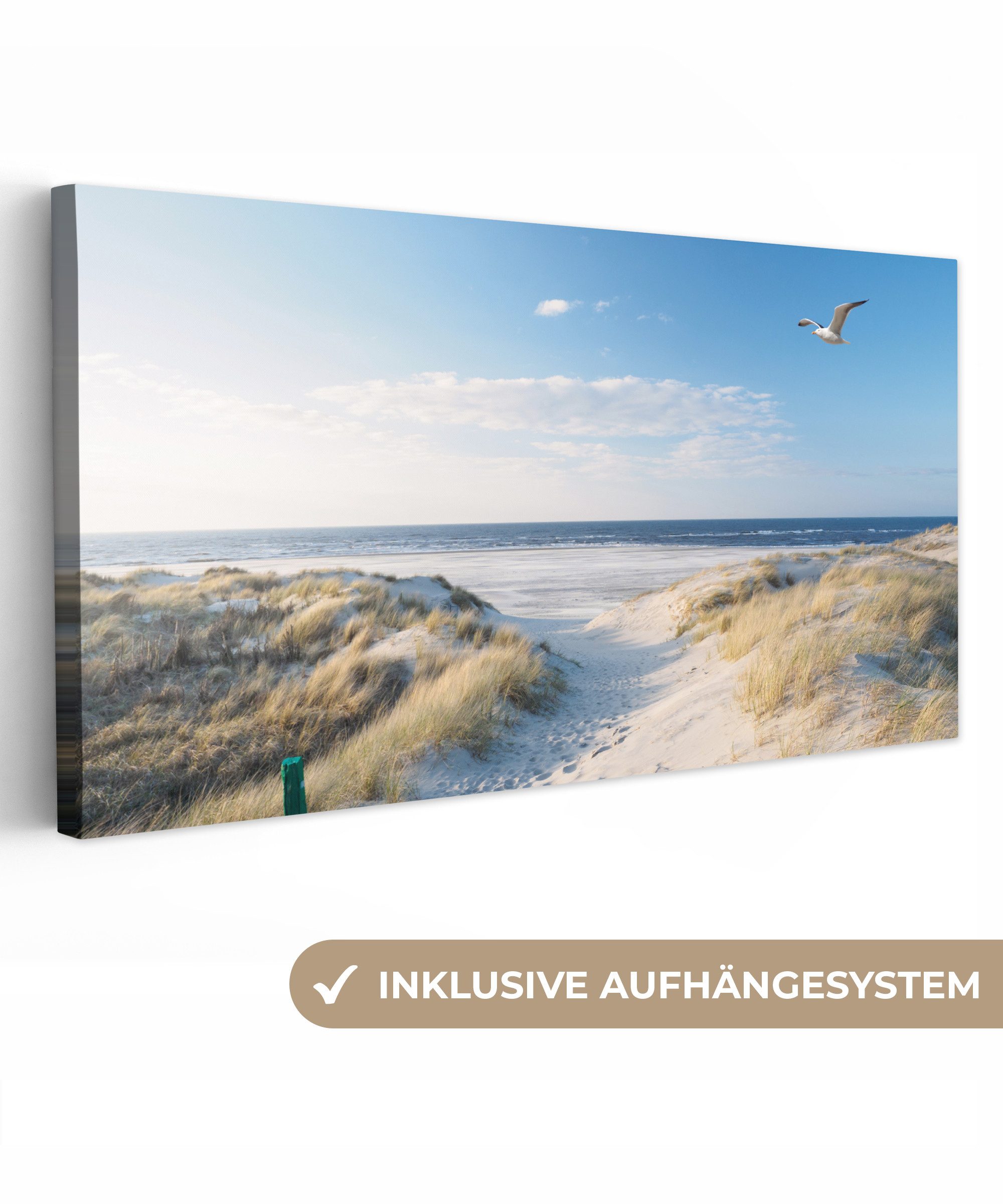 OneMillionCanvasses® Leinwandbild Panorama Düne - Möwe - Strand - Meer - So günstig online kaufen