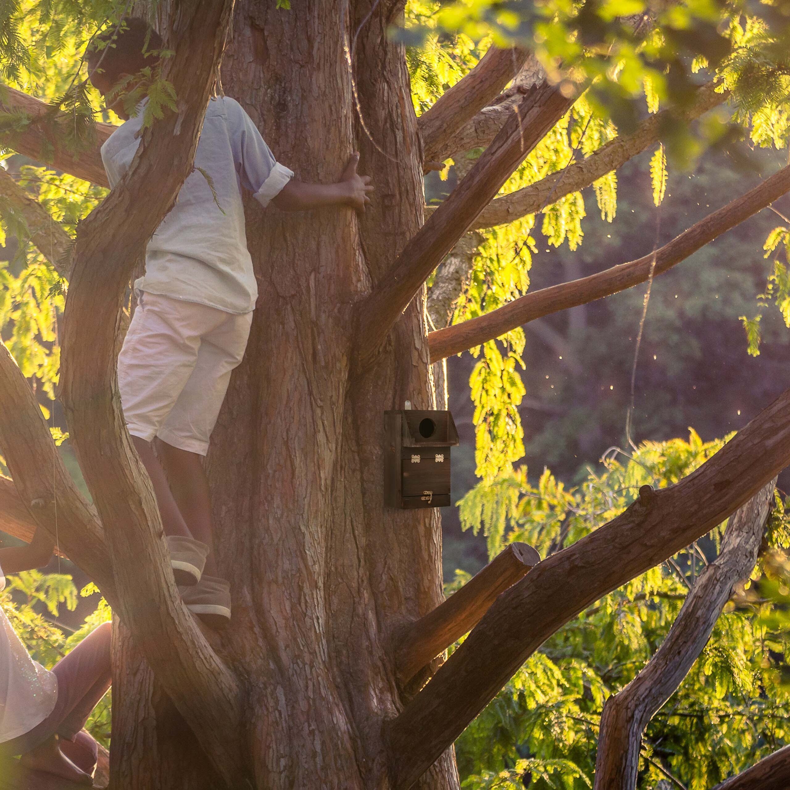 relaxdays Vogelhaus Nistkasten mit Reinigungsklappe