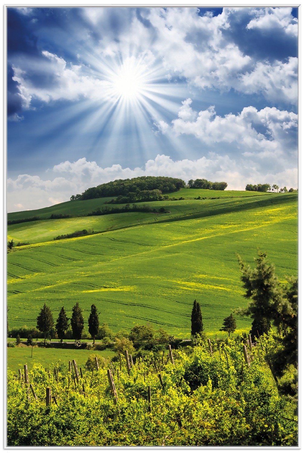 Wallario Poster, Strahlender Sonnenschein, in verschiedenen günstig online kaufen