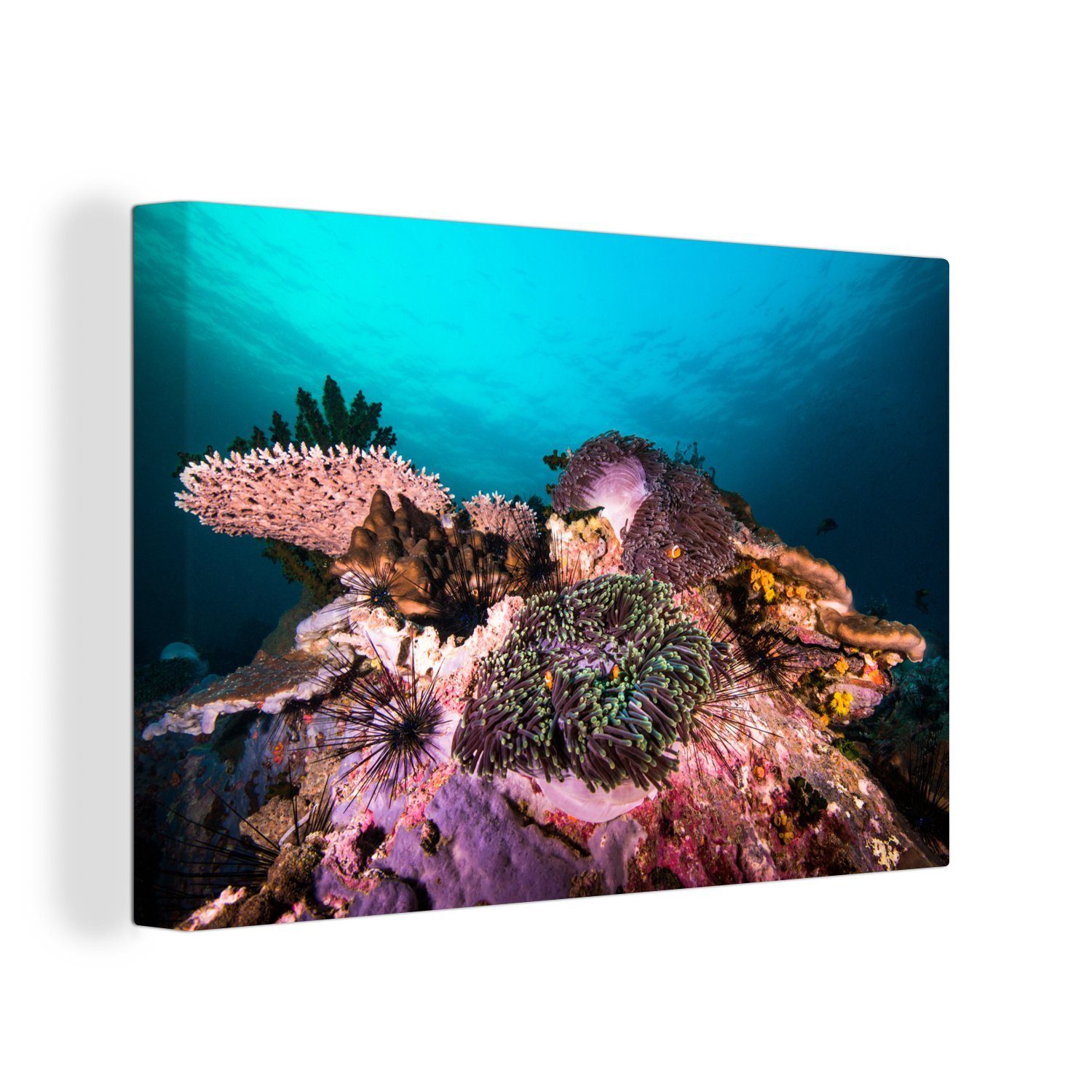 cm einem Aufhängefertig, in Wandbild Wanddeko, 30x20 Meer, Korallen St), (1 OneMillionCanvasses® Leinwandbild dunklen Bunte Leinwandbilder,