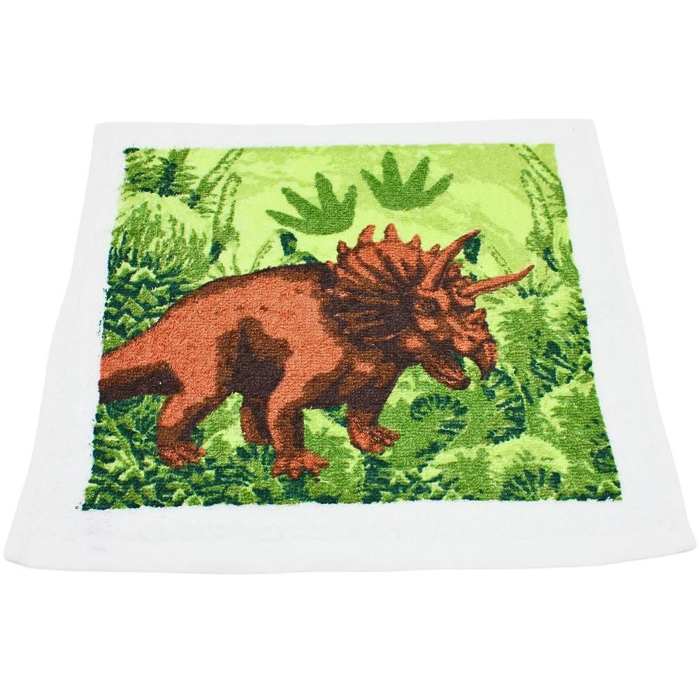 Dekohelden24 Tragetasche Magisches Baumwoll - Handtuch im 4er Set als Dinosaurier, Größe H/B ca. 30 x 30 cm