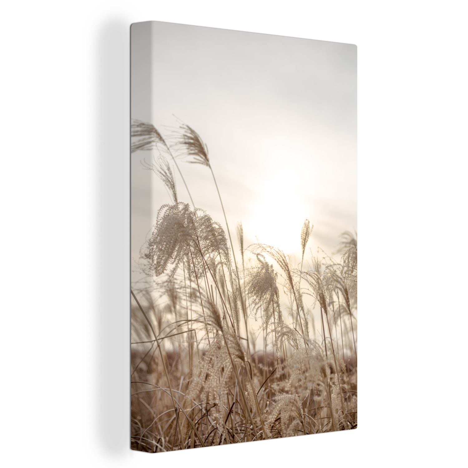 OneMillionCanvasses® Leinwandbild Schilf - Stilleben - günstig online kaufen