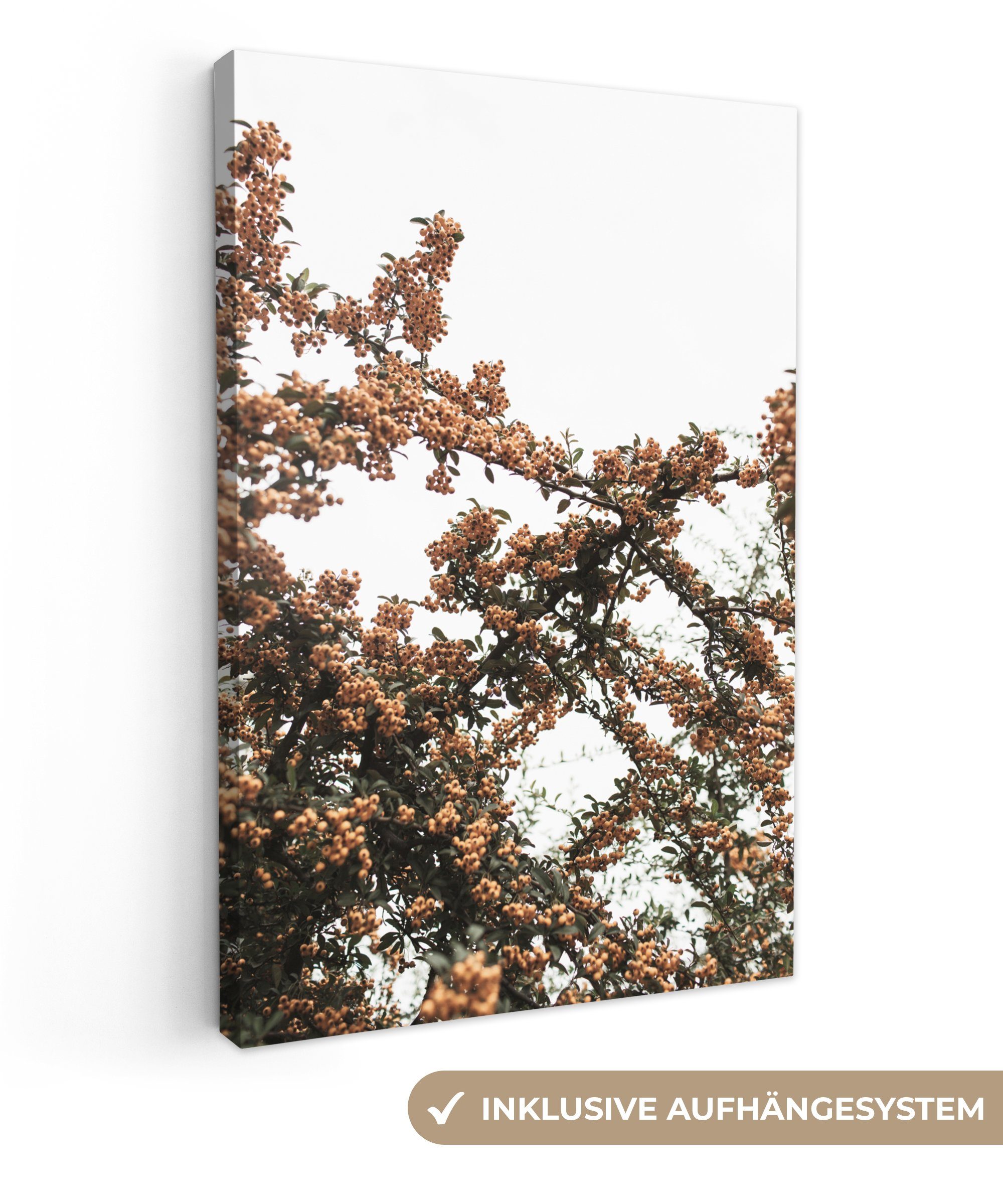 OneMillionCanvasses® Leinwandbild Natur - Herbst - Beeren - Busch, (1 St), Leinwandbild fertig bespannt inkl. Zackenaufhänger, Gemälde, 20x30 cm