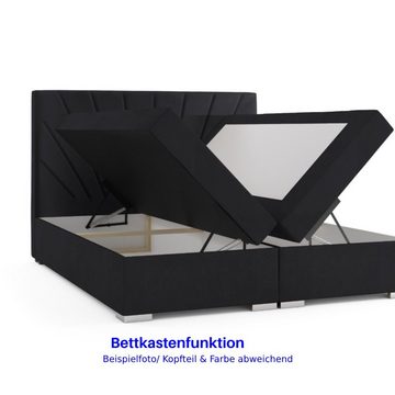 Möbel Punkt Boxspringbett Lissabon Grau Schwarz (180 x 200 cm, Eiche Nachbildung), Eiche Holz Nachbildung, inkl. Bettkasten, inkl. Topper