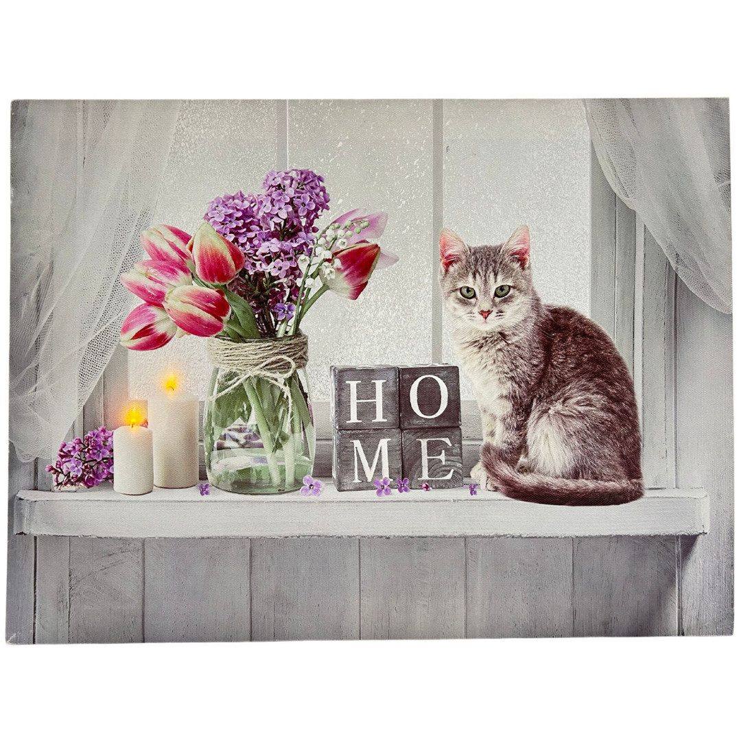 Wandbild mit Beleuchtung, Katze, LED