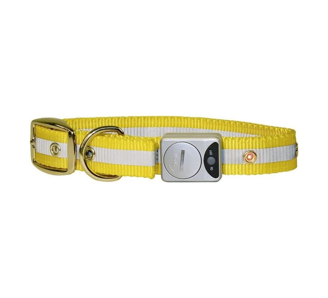 Kerbl Hunde-Halsband Flash&ReflexHalsband gelb, 25mm / 35-43cm