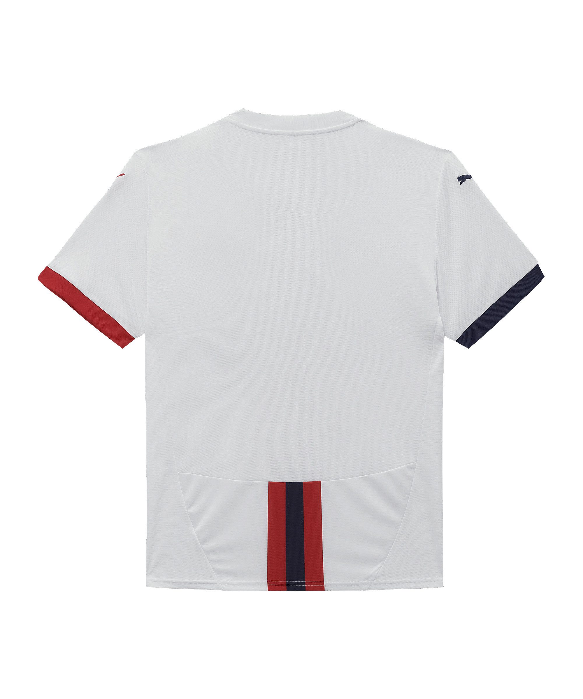 PUMA Fußballtrikot PUMA SK Rapid Trikot Away 2024/2025 Kids Teamsport