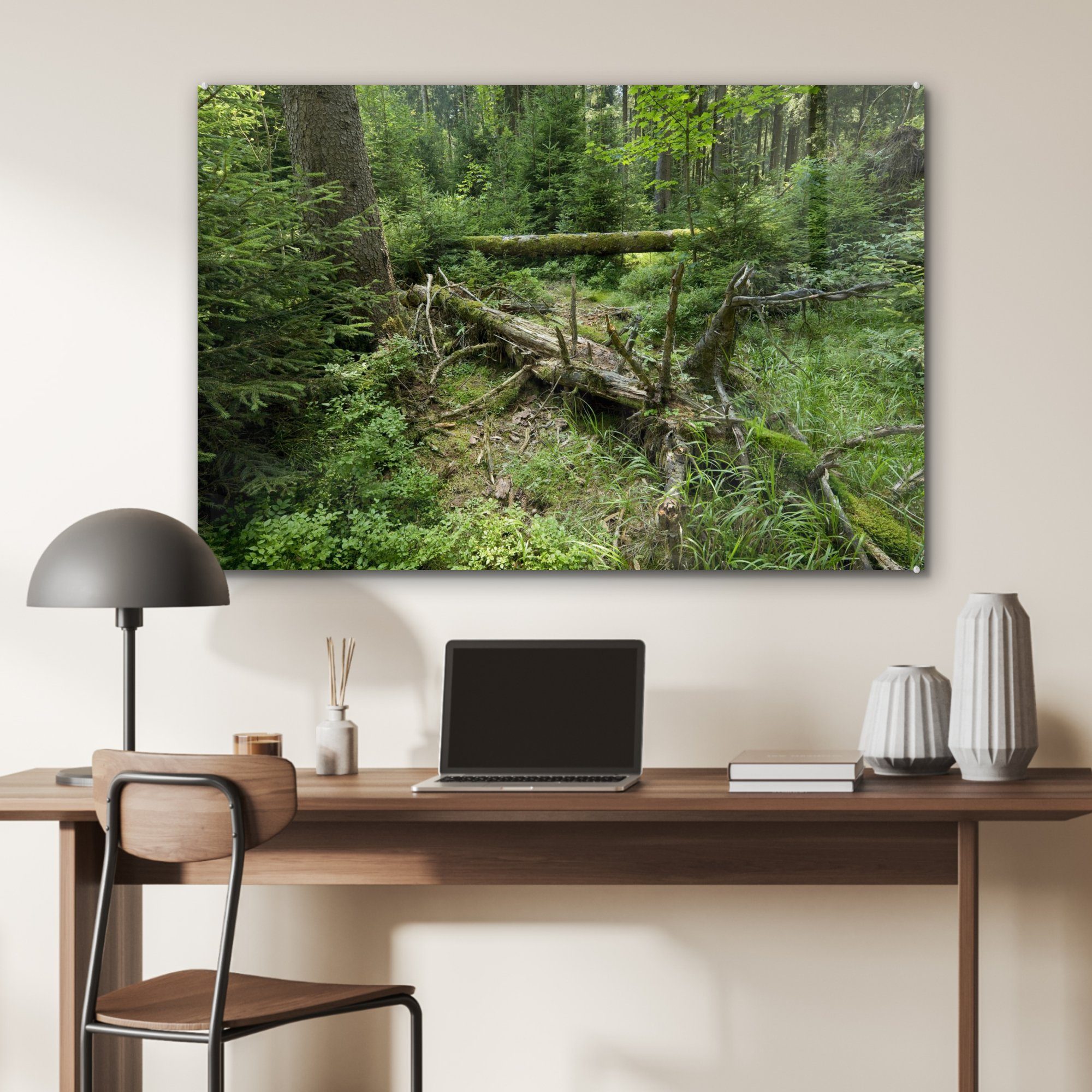 Alter Schlafzimmer im Acrylglasbilder Wald & Acrylglasbild des Wohnzimmer fällt Nationalparks Deutschland, Harz, St), Baum (1 grünen MuchoWow