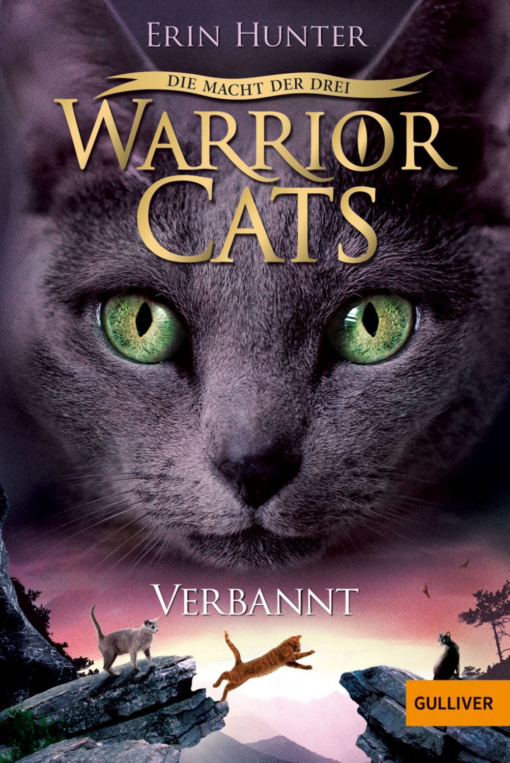 Verbannt / Warrior Cats Staffel 3 Band 3 / Erin Hunter