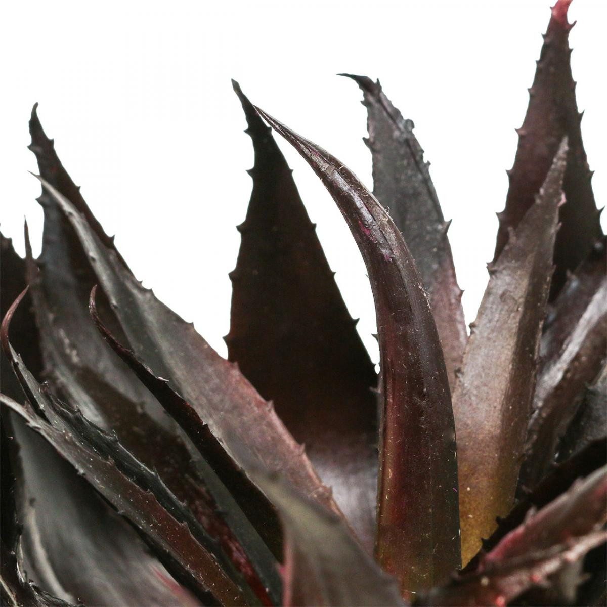 Kunstkaktus Kunstpflanze Aloe Vera im dekorativen Topf für modernes, Florists Products, Höhe 20 cm