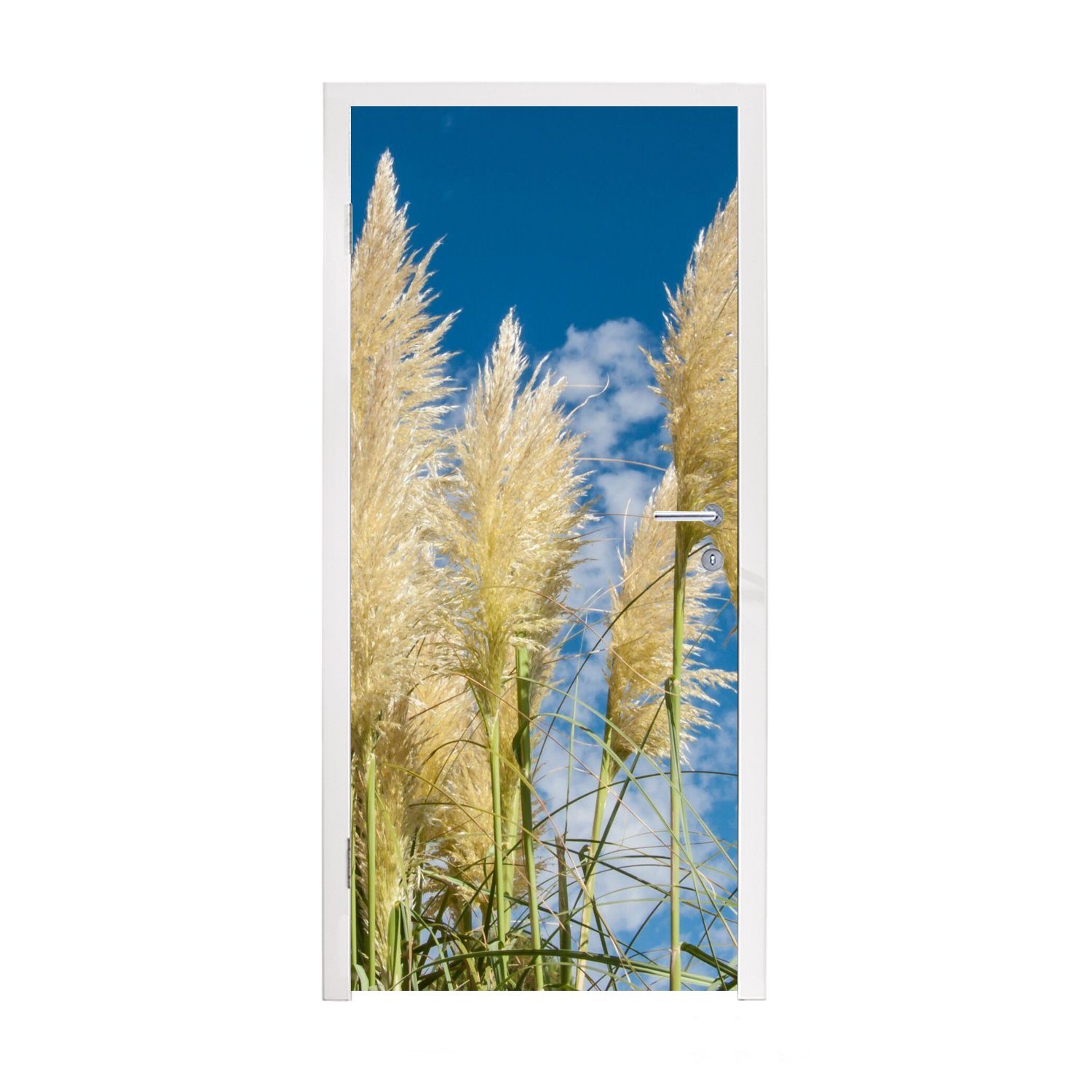 MuchoWow Türtapete Natur, (1 bedruckt, Tür, - 75x205 Matt, - Fototapete St), Pflanze für Türaufkleber, cm Pampasgras