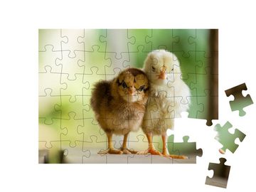 puzzleYOU Puzzle Zwei winzige Küken beim Kuscheln, 48 Puzzleteile, puzzleYOU-Kollektionen Hühner & Küken