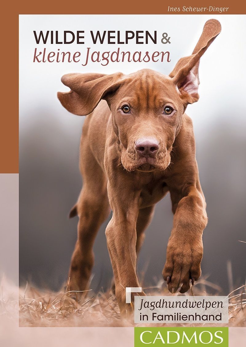 Wilde Welpen & kleine Jagdnasen / Ines Scheuer-Dinger, Jagdhundwelpen in Familienhand
