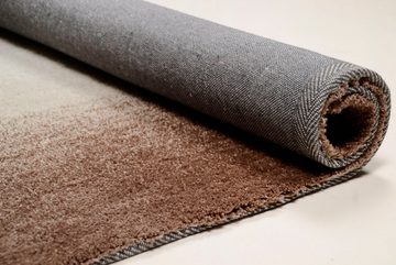 Teppich Hula, THEKO, rechteckig, Höhe: 18 mm, besonders weich durch Microfaser, ideal im Wohnzimmer & Schlafzimmer