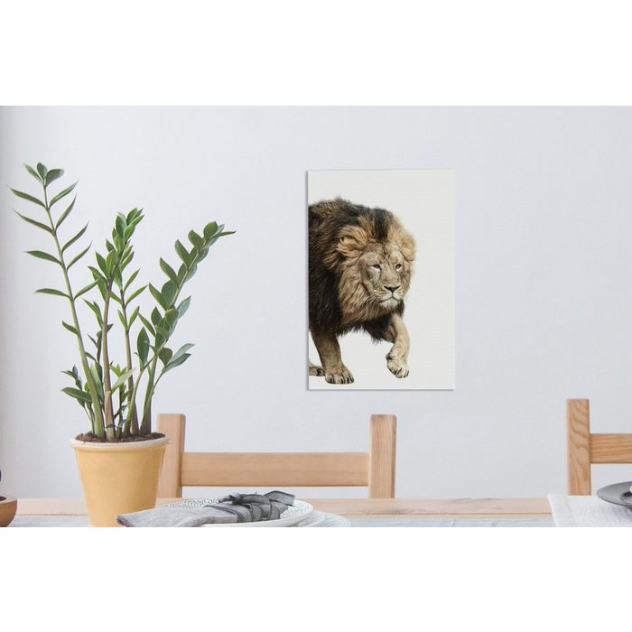 OneMillionCanvasses® Leinwandbild Profil - Löwe - Weiß (1 St) Leinwandbild fertig bespannt inkl. Zackenaufhänger Gemälde