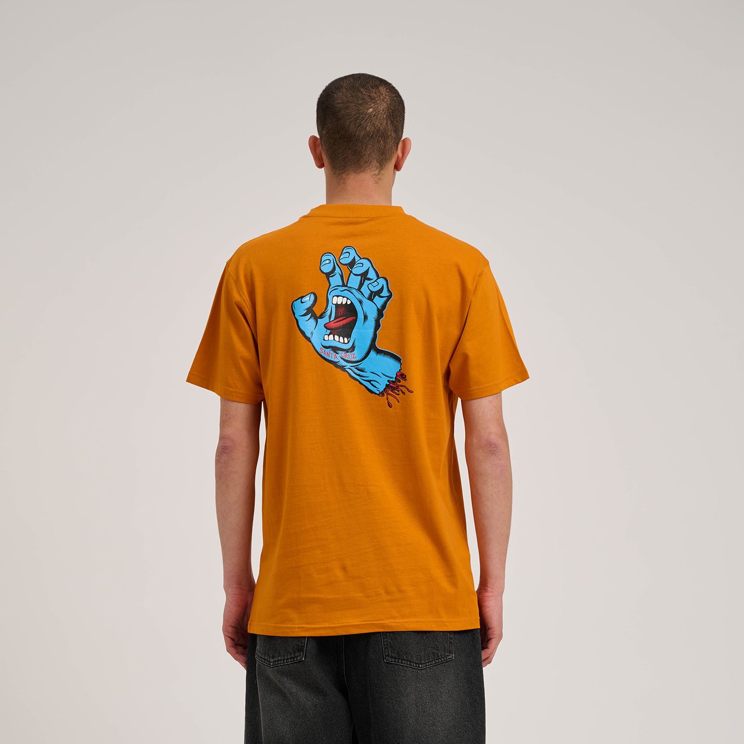 Santa Cruz T-Shirt WOODLAND MINI STRIP günstig online kaufen