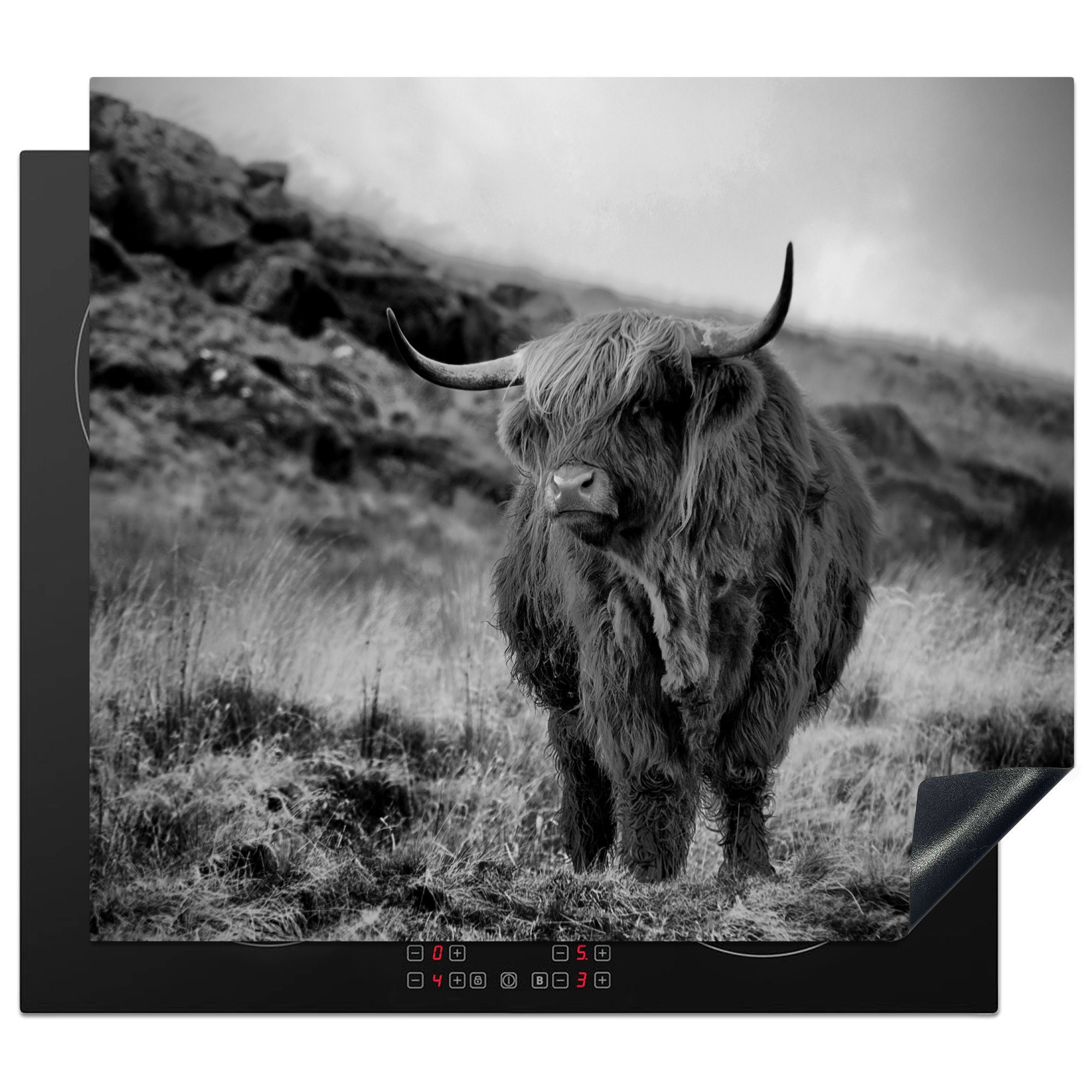 MuchoWow Herdblende-/Abdeckplatte Schottischer Highlander auf einem Hügel - schwarz und weiß, Vinyl, (1 tlg), 58x51 cm, Küchen Dekoration für Induktionsherd, Induktionskochfeld