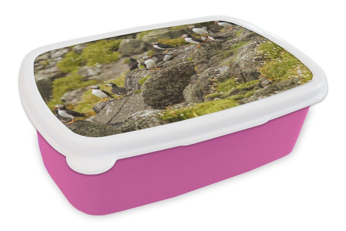 MuchoWow Lunchbox Papageientaucher an der schottischen Küste, Kunststoff, (2-tlg), Brotbox für Erwachsene, Brotdose Kinder, Snackbox, Mädchen, Kunststoff rosa