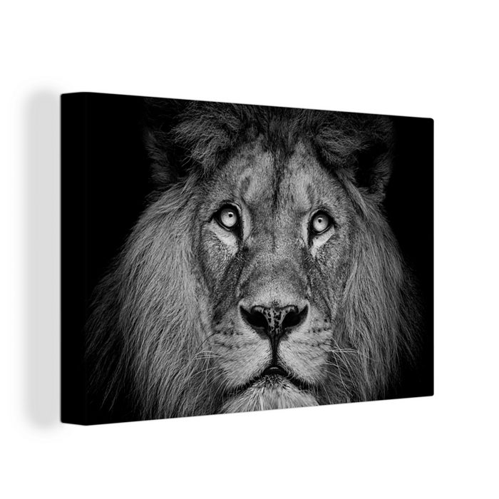 OneMillionCanvasses® Leinwandbild Löwe - Porträt - Schwarz - Weiß (1 St) Wandbild Leinwandbilder Aufhängefertig Wanddeko SY12572
